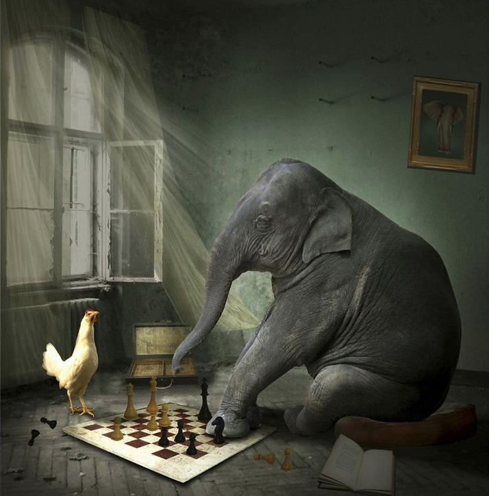 Not sure what goes here!